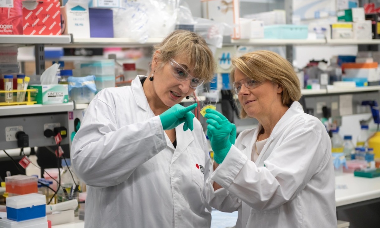 Scientists collaborating in the lab